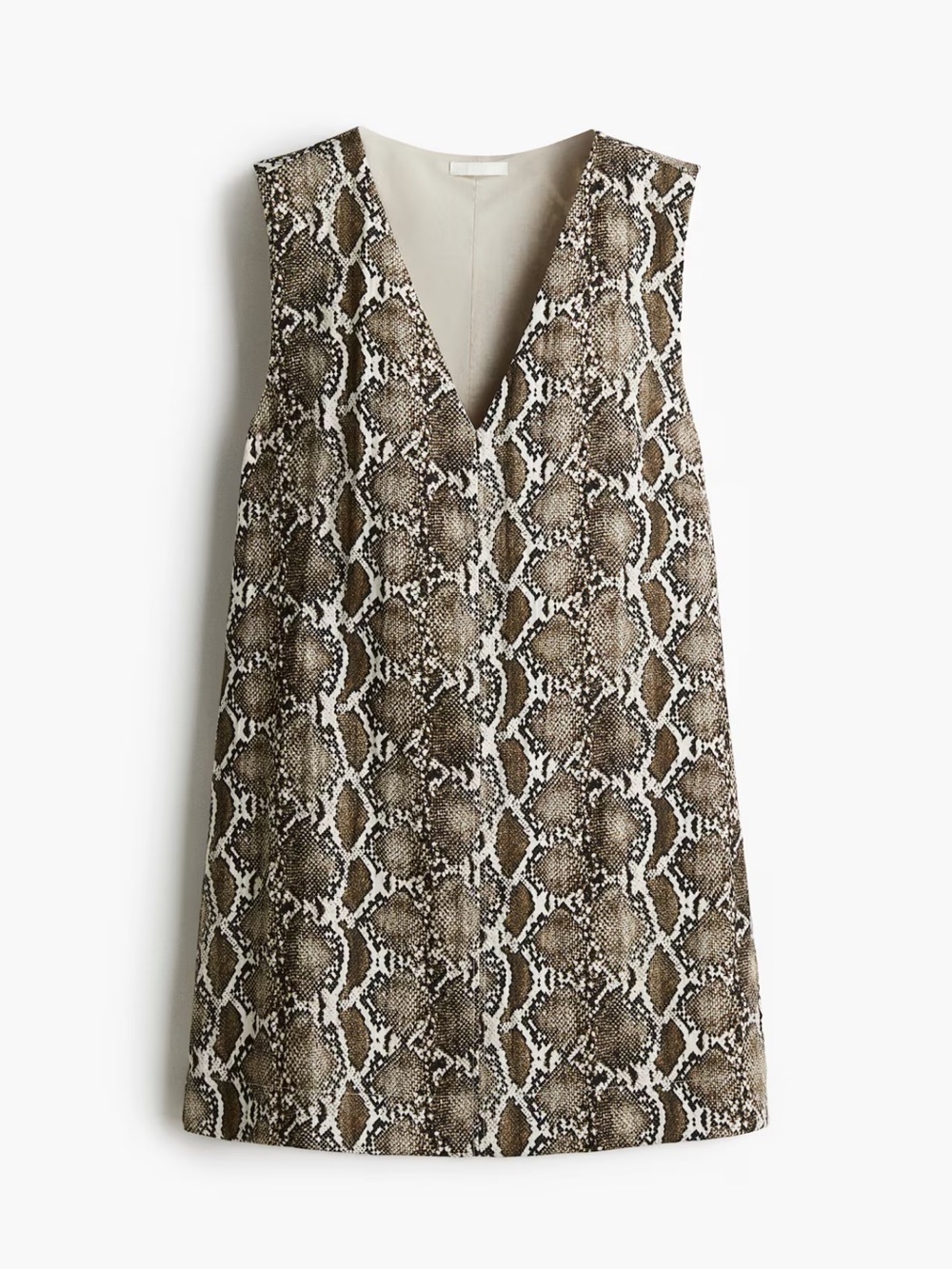 H&M Snake Print Dress